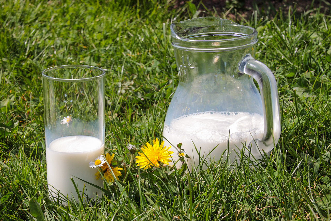 Tierische oder pflanzliche Milch?
